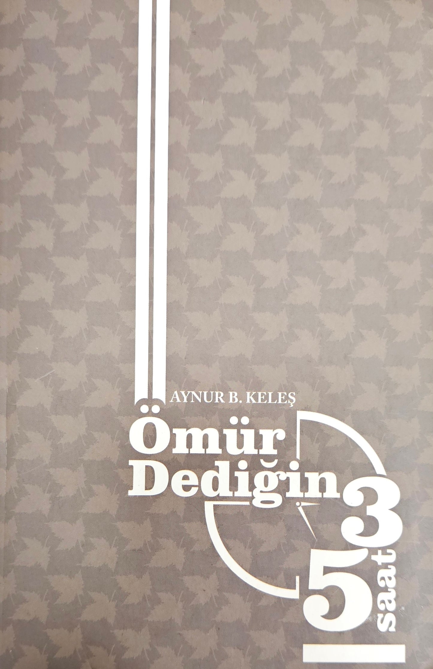 ⏳ Ömür Dediğin 3
Aynur Keleş