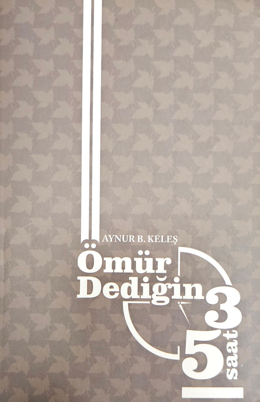 ⏳ Ömür Dediğin 3
Aynur Keleş